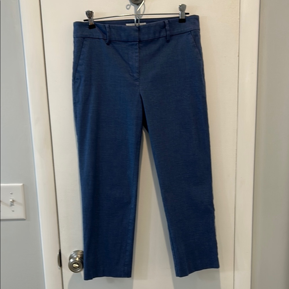 LOFT Blue Ankle Cropped Pants